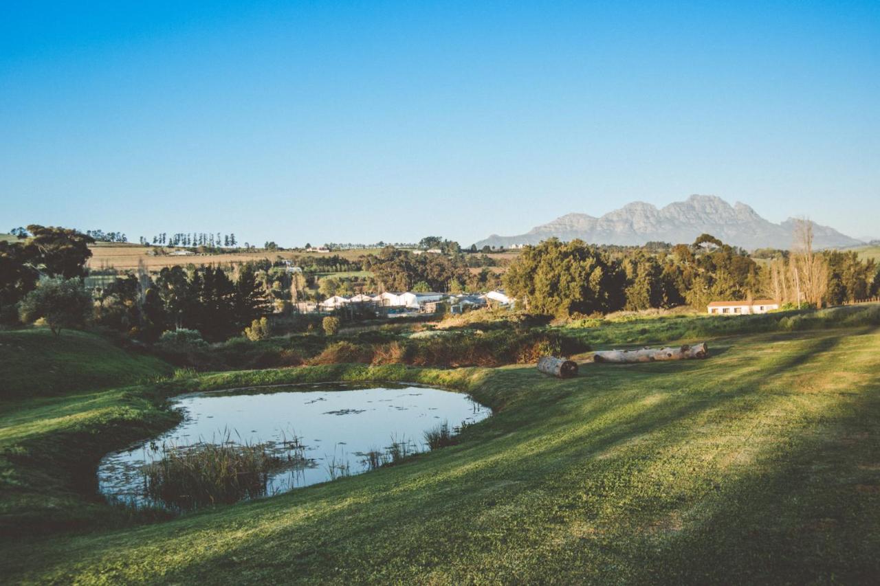 The Log * Stellenbosch